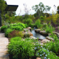 Incorporating Native Plants into Your Landscape Renovation