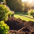 Essential Tools and Equipment for Successful Landscape Renovation