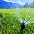 Incorporating Sustainable Irrigation Systems in Your Landscape Renovation