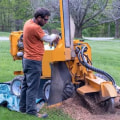 Transform Your Landscape with Stump Grinding in Warminster