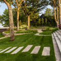 Exploring the Benefits of Landscape Renovation for Your Property