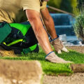 Understanding the Costs of Landscape Renovation: A Comprehensive Breakdown