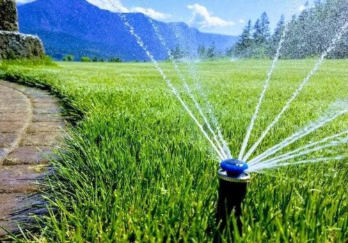 Incorporating Sustainable Irrigation Systems in Your Landscape Renovation
