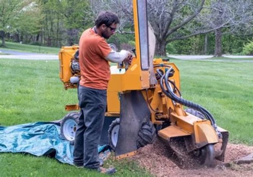 Transform Your Landscape with Stump Grinding in Warminster
