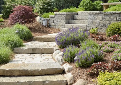 Enhancing Your Landscape Renovation with Pathways and Walkways