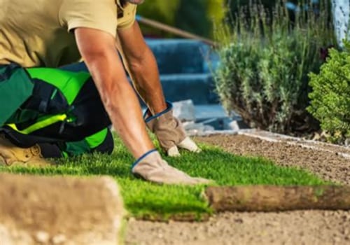Understanding the Costs of Landscape Renovation: A Comprehensive Breakdown